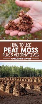 should gardeners use peat moss plus 5