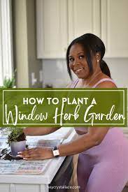 How To Easily Grow A Window Herb Garden