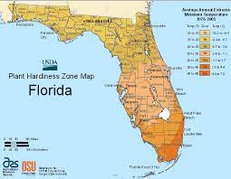 Growing Seasons In Florida The