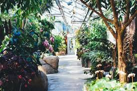 best garden centres and plant s