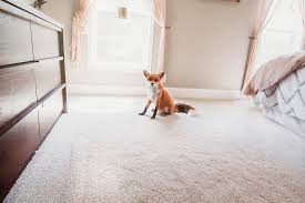 best carpet for pets the