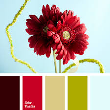 color of wine color palette ideas