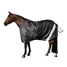 first choice winter turnout rug horse