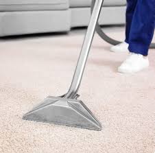 carpet cleaning raysco inc