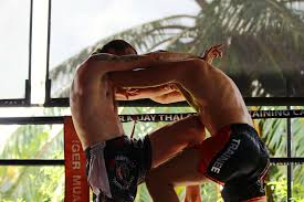 advanced muay thai training program for