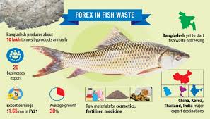 fish waste from rubbish to valuable