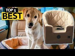 Best Dog Car Seat 2023 Buyer S Guide