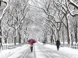 best things to do in winter in nyc from