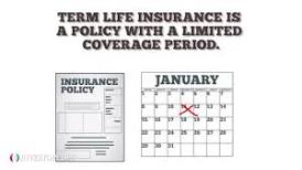 What is the least expensive life insurance that you buy for a period of time called?