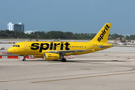 Spirit Airlines Gate Agent Suspended After Video Of Fight With Woman Goes  Viral