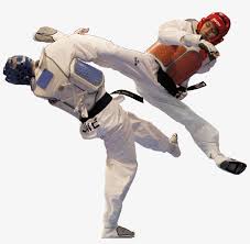 Also, all can be performed by the front or rear leg in a given stance. Taekwondo Taekwondo Kicks Png Transparent Png 997x927 Free Download On Nicepng