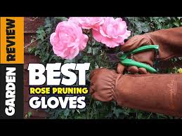 Best Gloves For Pruning Roses And Other