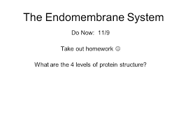 The Endomembrane System Do Now 11 9 Take Out Homework What