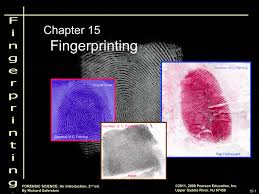 Chapter 15 Fingerprint Powerpoint