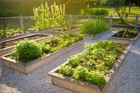 Raised Bed Garden