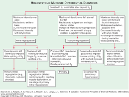 Approach To The Patient With A Heart Murmur Harrisons