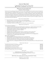 General manager resume  CV  example  job description  sample    