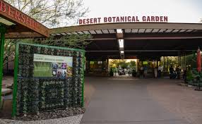 the desert botanical garden