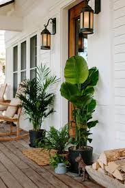 Moving Your Indoor Plants Outside For