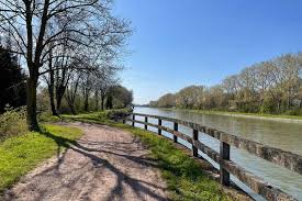 Le Soleil vert : Cottage cadre naturel privilégié - Gîte à Mont Bernanchon dans le Pas de Calais (62)