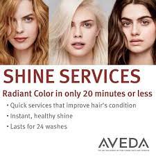shine treatment with aveda zinke hair