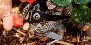 the right pruning tool does one size