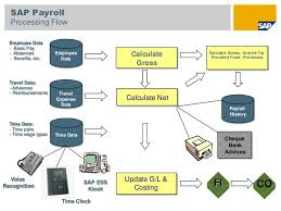 Payroll Process Sap Hr Payroll Process Steps