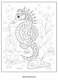 • arrange the foods onto your plate •glue or paste onto construction paper •write your name on the base of the plate. Free Ocean Under The Sea Colouring Pages