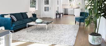 home super shine carpet cleaning