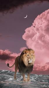 hd cloud lion wallpapers peakpx