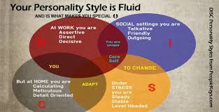 Your Disc Personality Style Is Fluid