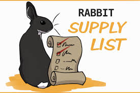 rabbit supply list for your first bunny