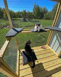 catio with a small metal shed lumber