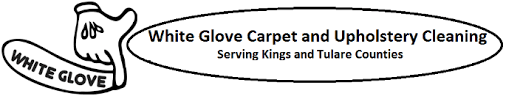 white glove carpet upholstery cleaning