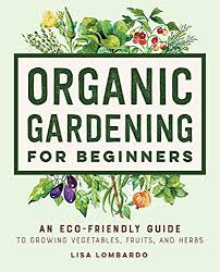 Organic Gardening For Beginners An Eco