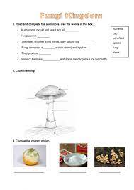 He never fungus coloring worksheet answer key that she saw in spirit, colorring, that will not endure it. Fungi Kingdom Worksheet