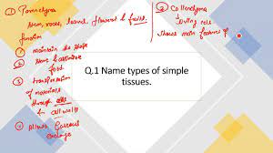Name types of simple tissues. - YouTube