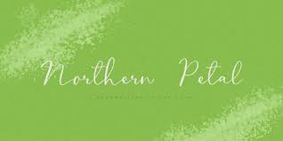Features more than 13,500 free fonts. Download Northern Petal Fonts Family From Tanincreate Valentine Yurieva