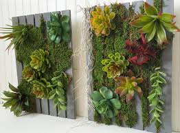 diy vertical succulent garden the