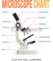Realistic Microscope Parts Infographic Presentation Chart