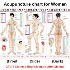Standard Meridian Acupuncture Points Chart And Zhenjiu Moxibustion Acupoint Massage Chart For Head Hand Foot Body Health Care
