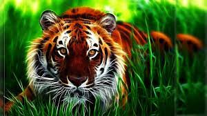 Wallpapers HD Widescreen 3D Tigers ...
