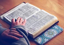 Image result for bible pic