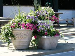 Patio Flower Pots Patio Flowers