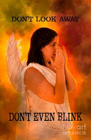 Don't blink has been found in 7 phrases from 7 titles. Don T Look Away Don T Even Blink Photograph By Humorous Quotes