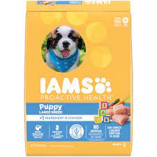 iams puppy large breed dog food