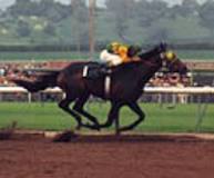 who-finished-second-to-secretariat