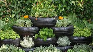 Is It Safe To Grow Food In Old Tyres