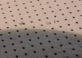 Perforated Leather Seat Tearing