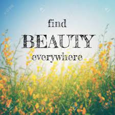 Enjoy reading and share 87 famous quotes about beauty is everywhere with everyone. Inspirational Quote Find Beauty Everywhere On Blur Background Stock Photo Picture And Royalty Free Image Image 54724851